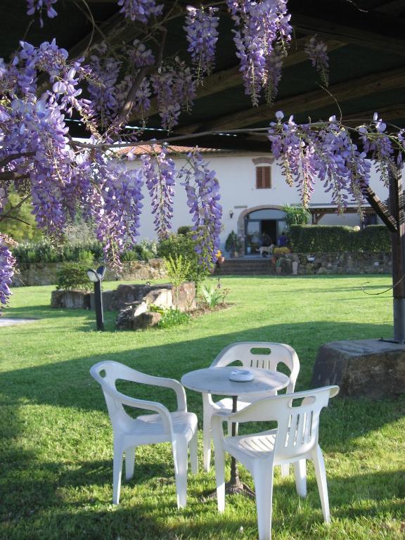 Agriturismo Villani Poderi Nesti & Cupoli *